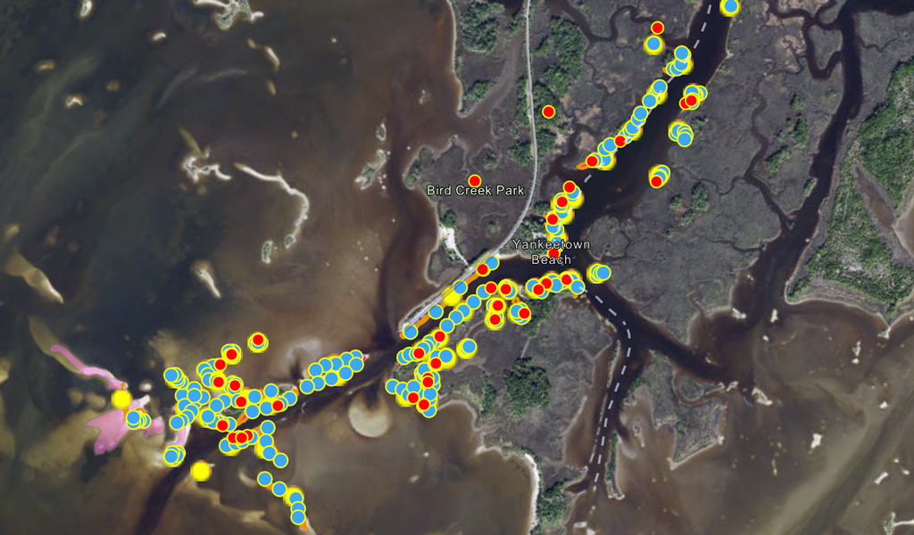 GIS map rendering and data of the 56 oyster beds surveyed for the SWFWMD.