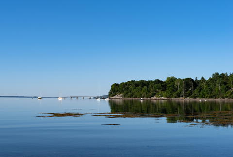 Image of Searsport, Maine showing trees, water, and blue sky with a few sailboats
