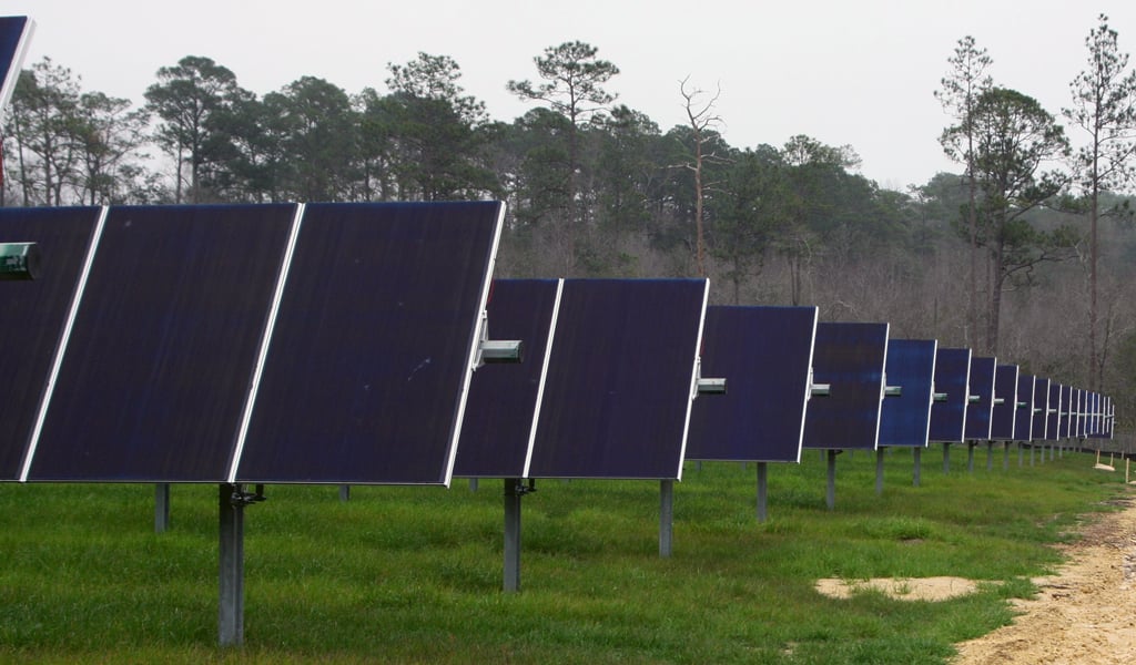A row of solar panels in a rural field with trees in the background.