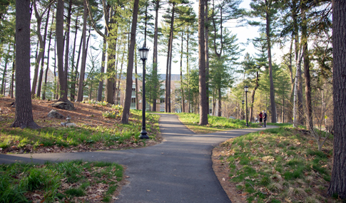 The Pine Tree Preserve walking trails through shade trees that is located adjacent to the Margot Connell Recreation center.