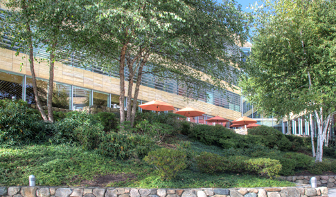 An outdoor dining area is shaded by trees on Astra-Zeneca’s research campus.