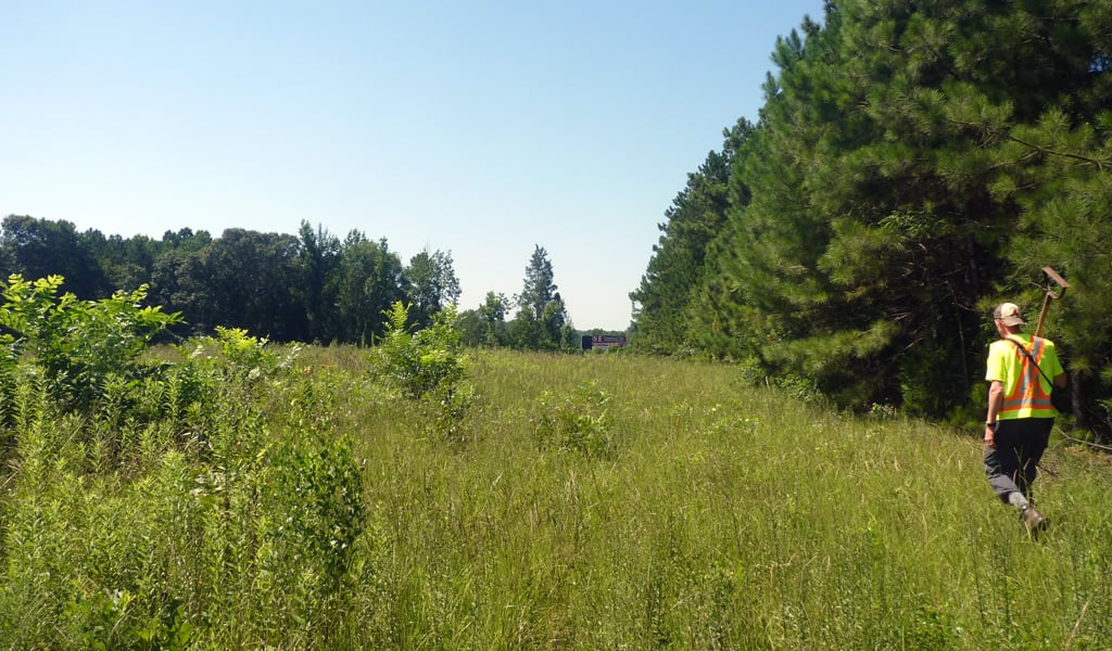 VHB surveyor walking through field. 