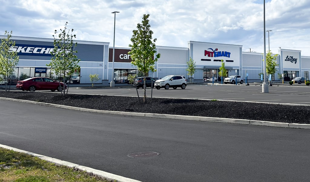 Springfield Crossing mall parking lot with Skechers, PetSmart, and other retail stores under a partly cloudy blue sky.