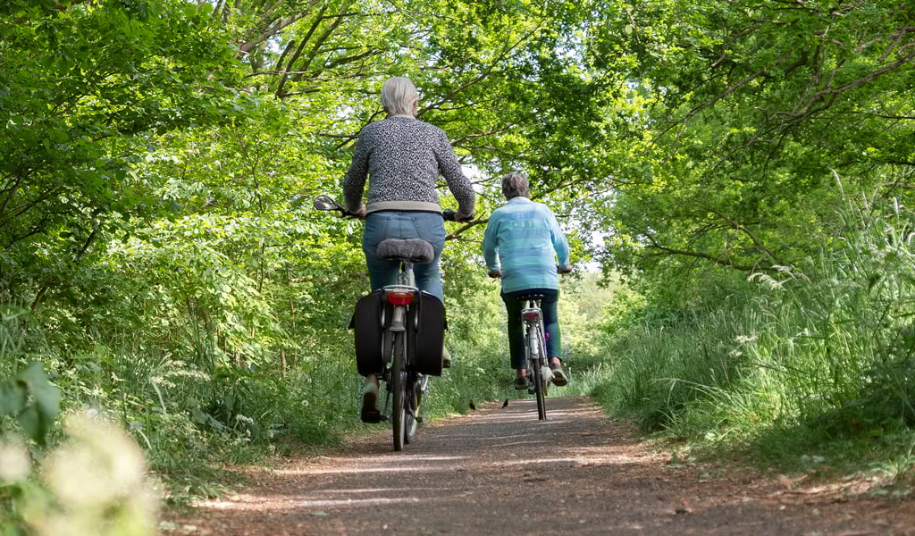 Two bike riders on a rural bike path with trees and greenery.