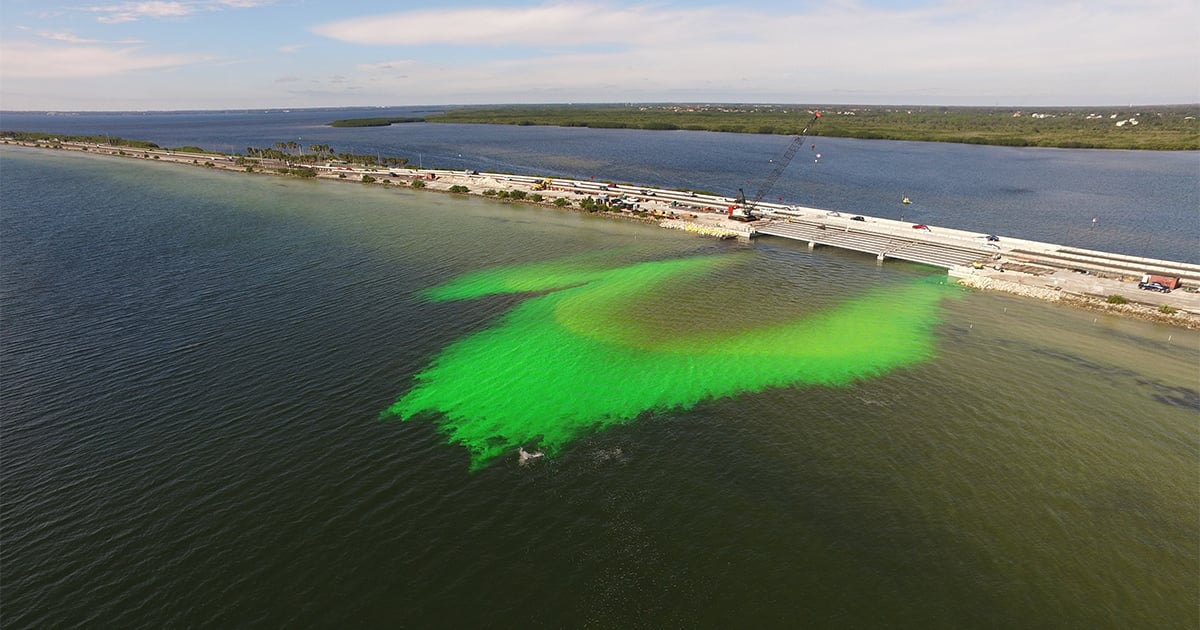 Old Tampa Bay Water Quality Environmental Services VHB