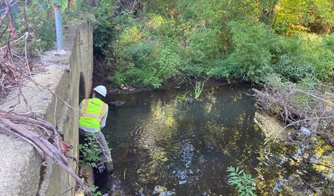 VHBer in white hardhat under bridge conducting visual bat inspection.