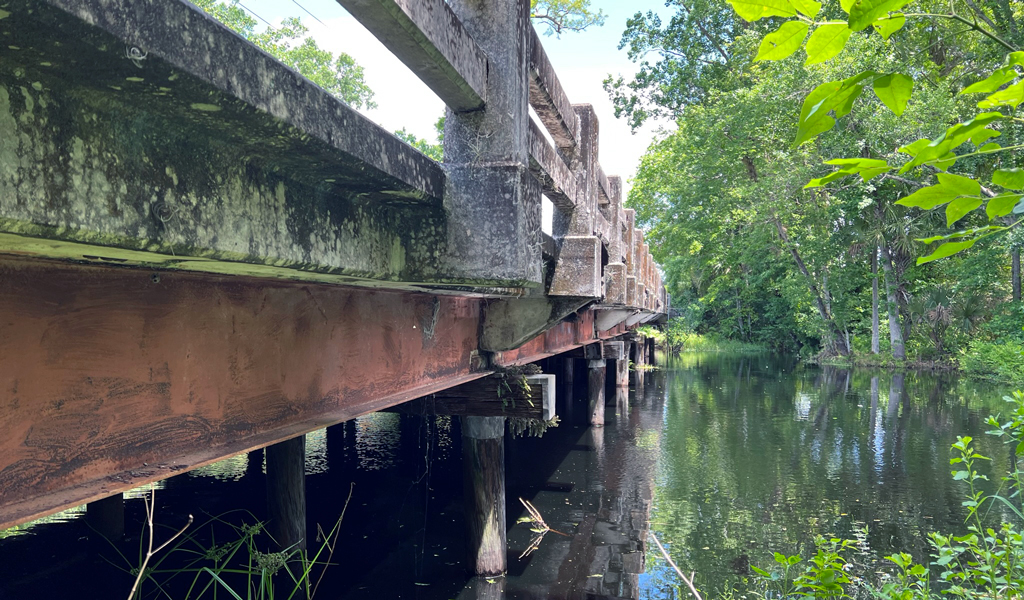 A historic bridge stretches across a swamp 