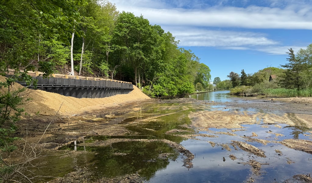 A roadside creek with trees and a blue sky.