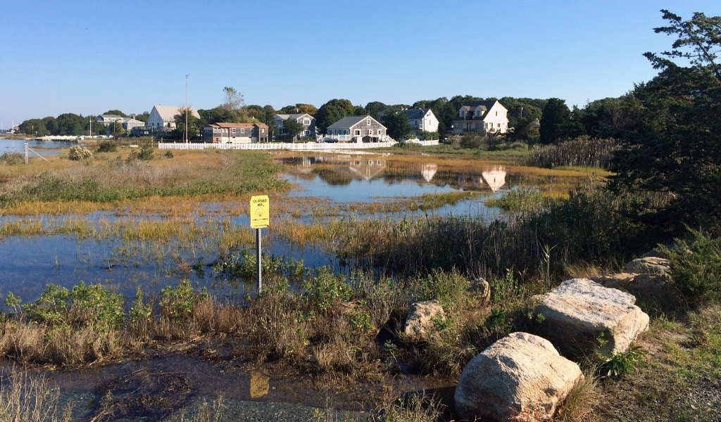 Fairhaven coastal wetland area. 