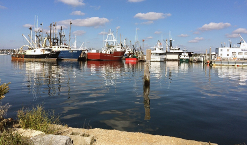 Fairhaven waterfront area. 