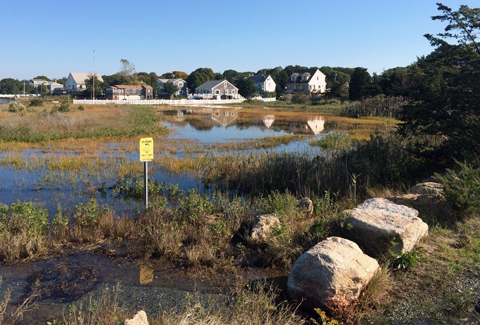 Fairhaven coastal wetland area. 
