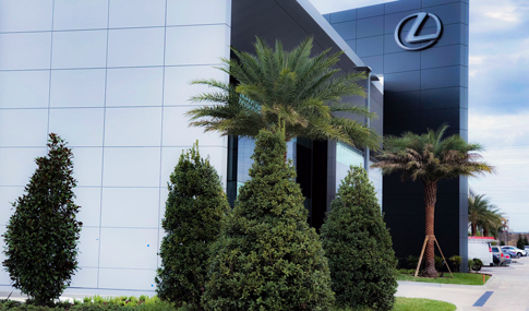 The front of the Lexus building with manicured palms and landscaping.