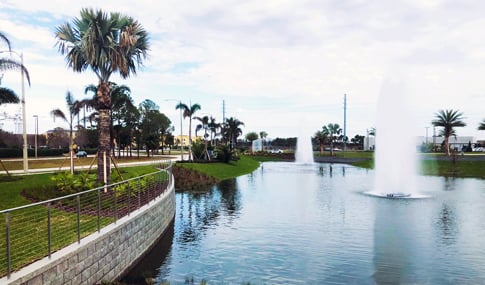 A water feature outside of the Lexus facility, lined with palm trees.