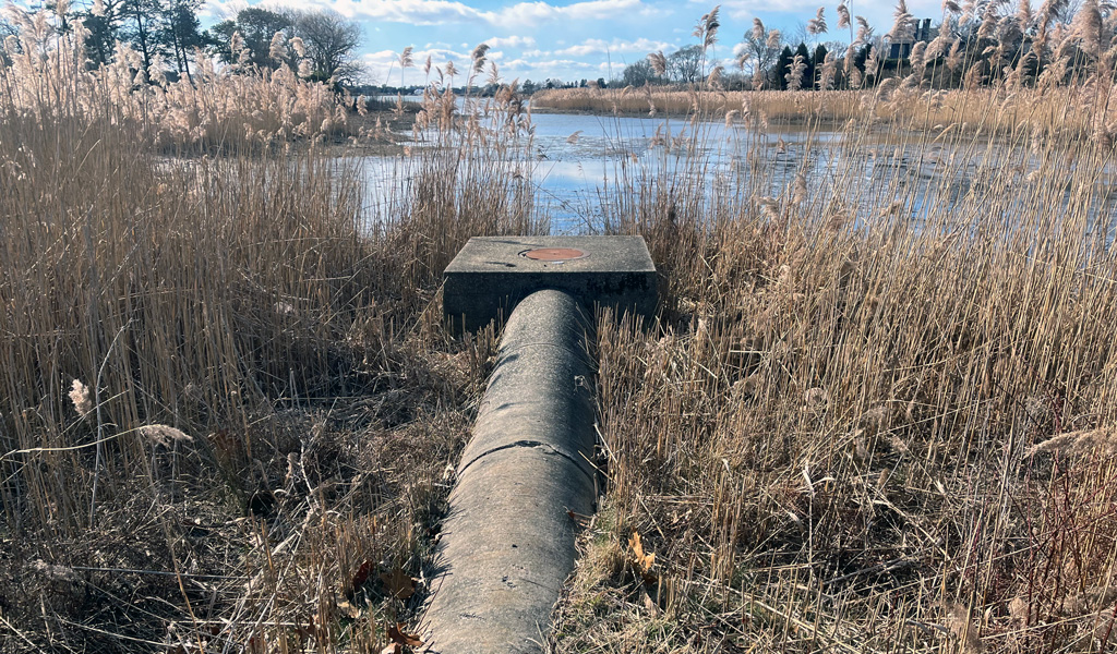 Drainage pipe at Cove Hollow Outfall.