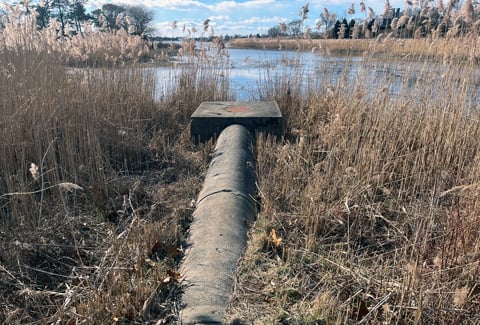 Drainage pipe at Cove Hollow Outfall.