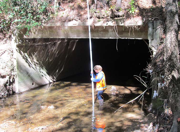 Woman standing in river under a bridge conducting analysis