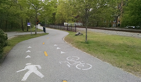 A pathway through a wooded area is divided and marked for both pedestrian and bicycle traffic.