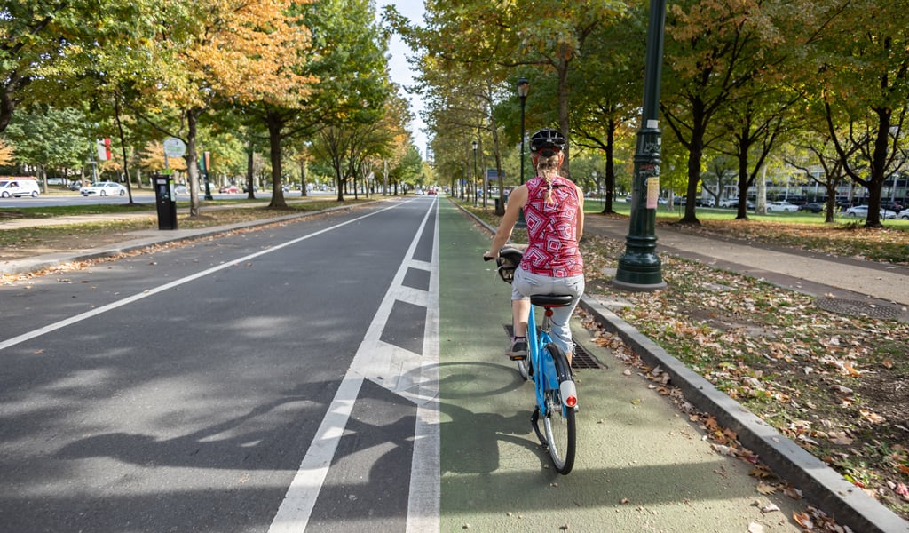 A person cycling on a protected bike lane along a tree-lined street.