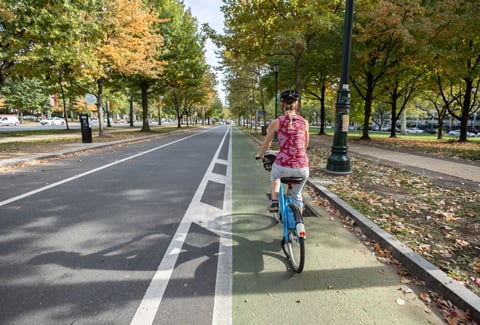 A person cycling on a protected bike lane along a tree-lined street.