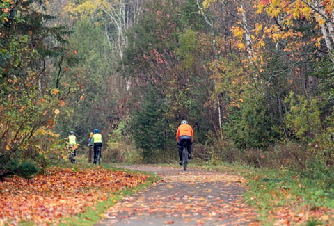 Bikers pedal down a curved gravel trail covered in fall leaves.