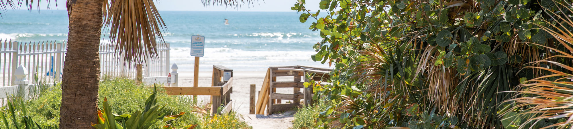 A Florida beach shoreline.