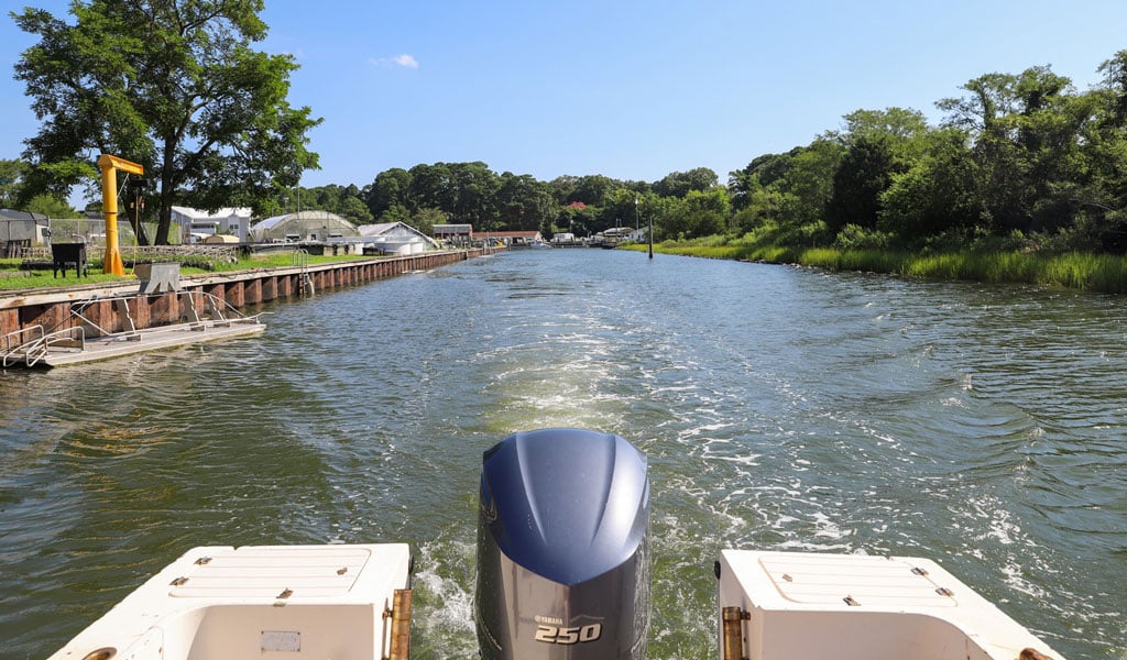 A view from a boat moving down a sunny channel lined with small docks, structures and trees.