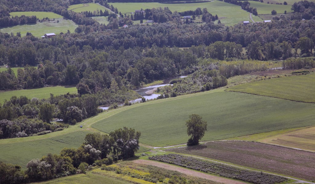 The view from a hill in Schoharie County featuring plots of agricultural land and trees.