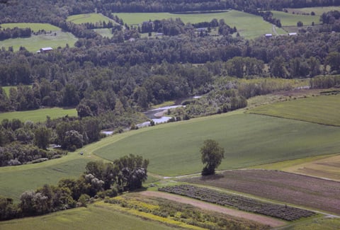 The view from a hill in Schoharie County featuring plots of agricultural land and trees.