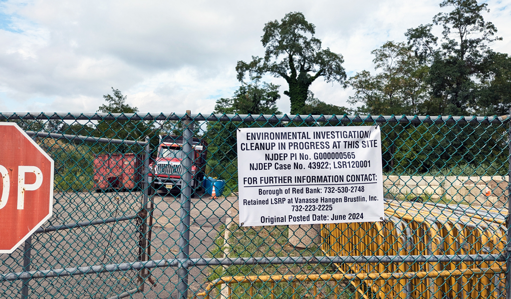 Shoreline view with wetland grasses.