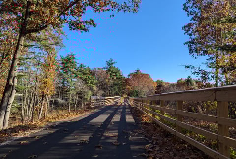 Autumn scenery along a paved path with a wooden fence on one side, surrounded by trees with fall foliage under a blue sky.