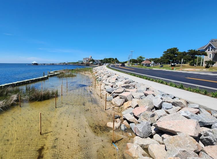 Nature based shoreline next to road in residential area.