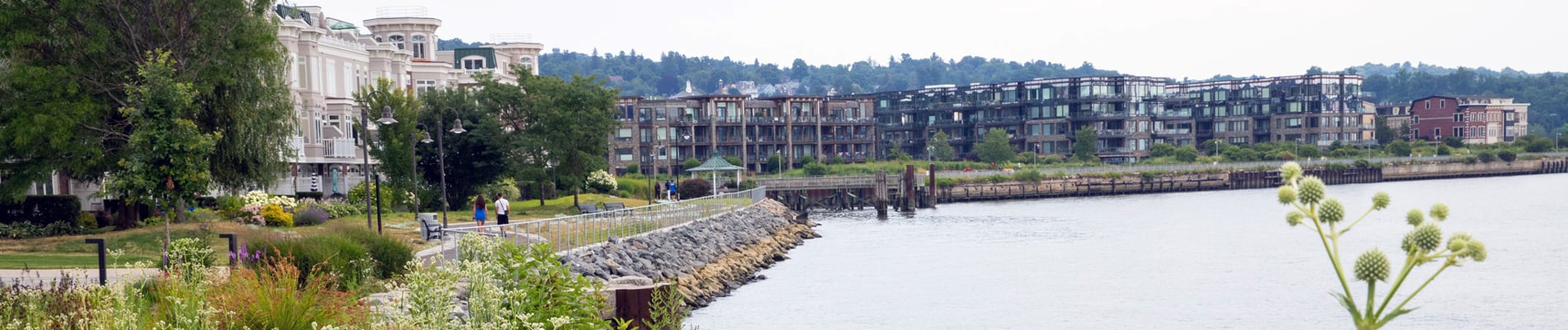 Waterfront greenery and walkway with housing.