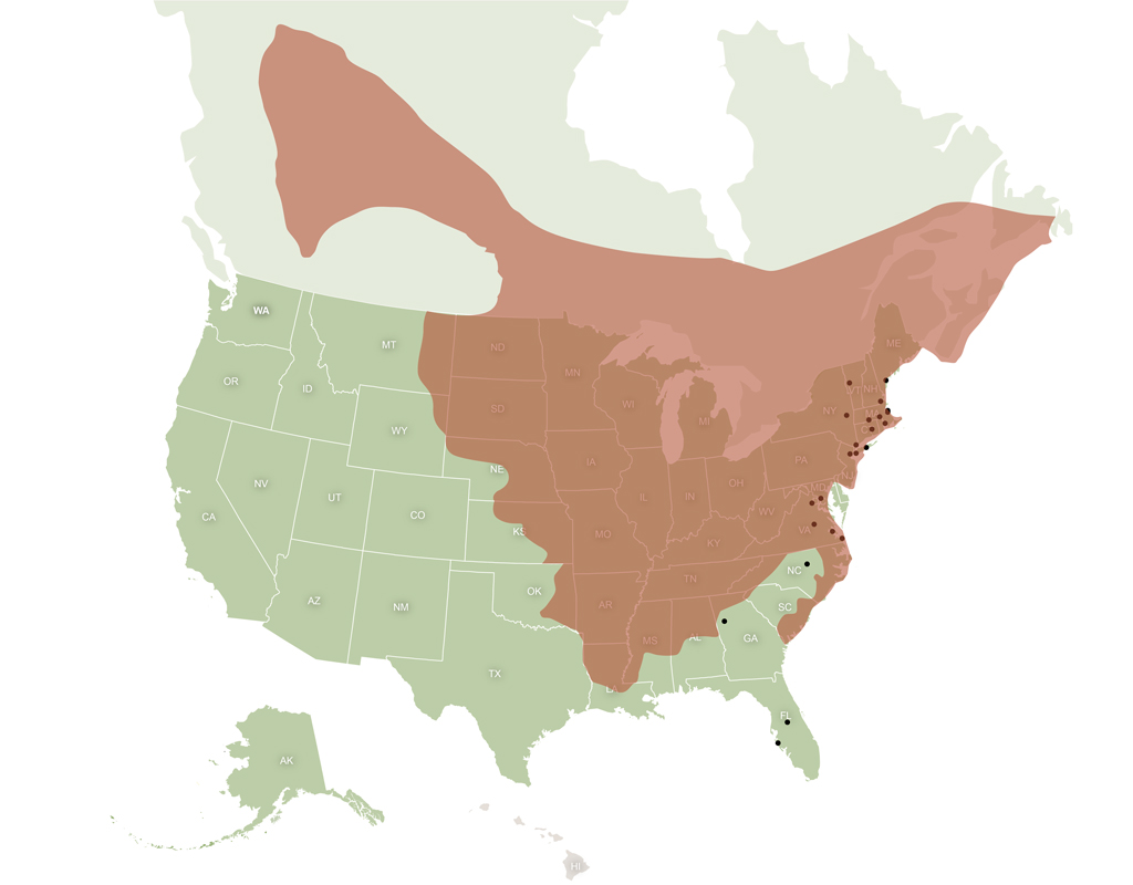 Range of the northern long-eared bat in relation to VHB locations.