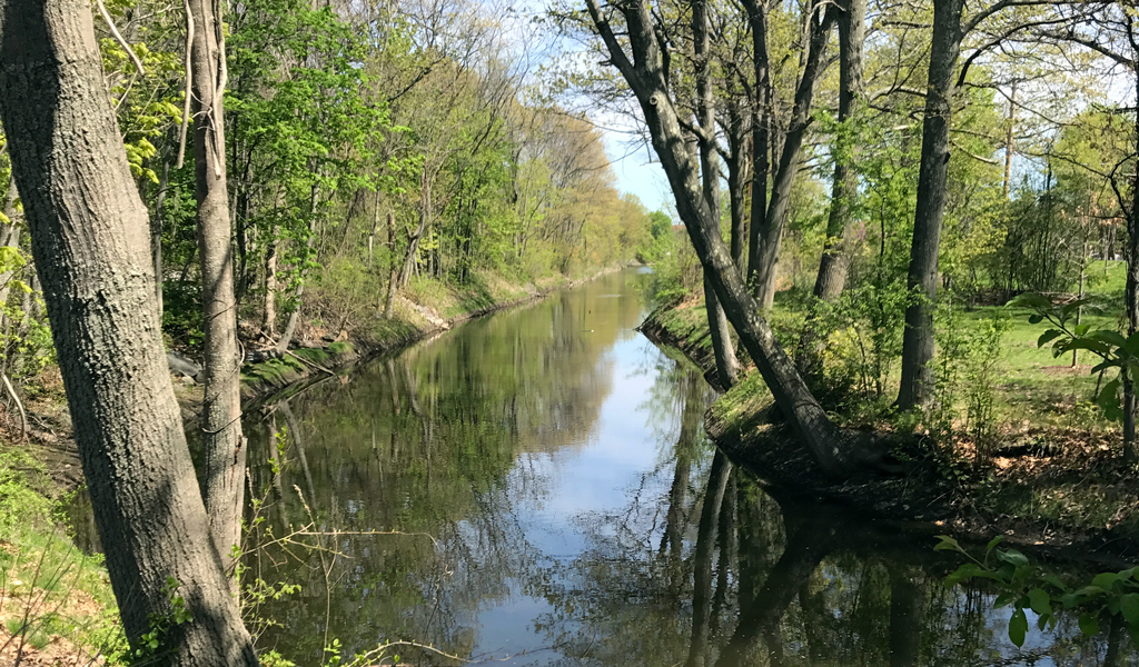 A calm river flowing through a wooded area with trees with green leaves and a blue sky peeking through the tops of the trees.