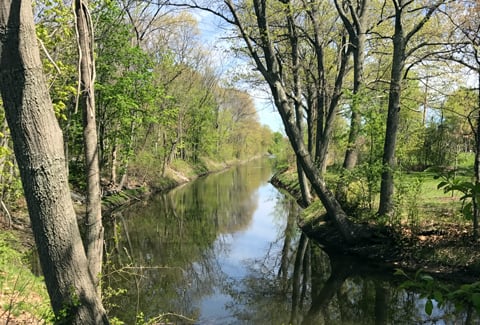 A calm river flowing through a wooded area with trees with green leaves and a blue sky peeking through the tops of the trees.