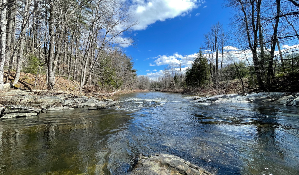 A river flowing through a forested area with leafless trees under a bright blue sky with scattered white clouds. 