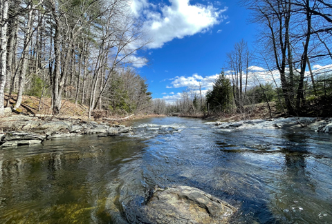 A river flowing through a forested area with leafless trees under a bright blue sky with scattered white clouds. 