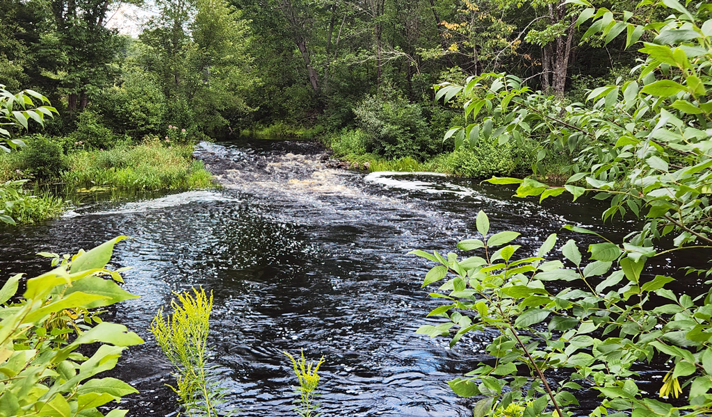 River and stream habitat in Maine surrounding a small dam and fish passage barrier.