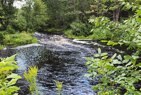 River and stream habitat in Maine surrounding a small dam and fish passage barrier.