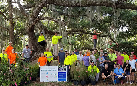 Pillippi Creek gets a clean-up from volunteers from VHB Sarasota.