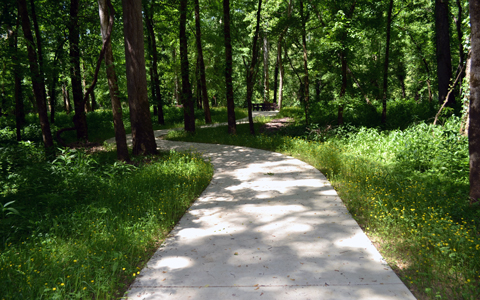 ): View of the paved trail as it meanders through the woods during the Spring season.