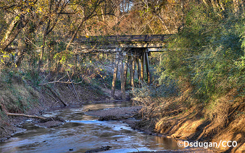 An old wooden bridge crosses over a narrow riverbank in a forested area near Okmulgee Mounds National Historic Park in Georgia 