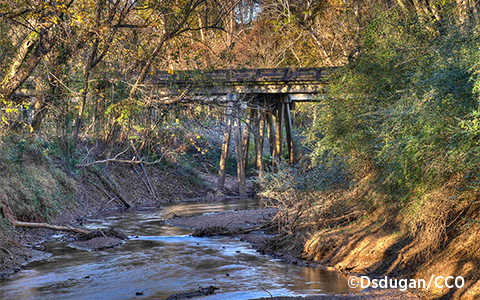 An old wooden bridge crosses over a narrow riverbank in a forested area near Okmulgee Mounds National Historic Park in Georgia