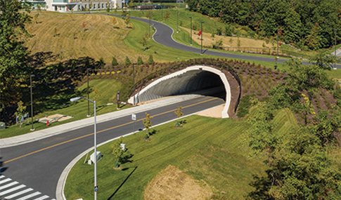 View of the JMU’s Land Bridge and tunnel structure over Driver Drive with new plantings and multi-modal pathway. 
