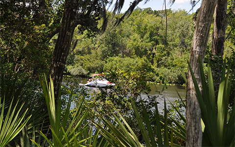 Boaters, kayakers and paddleboarders will be able to access Black Creek from a section of the Preserve