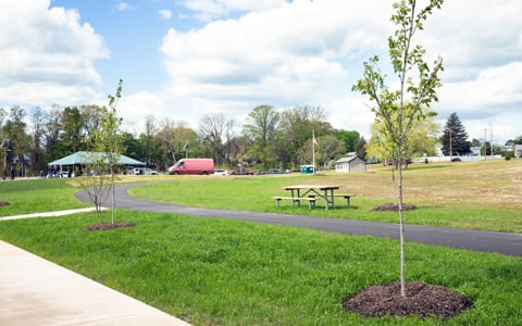 Park landscape with new tree plantings.