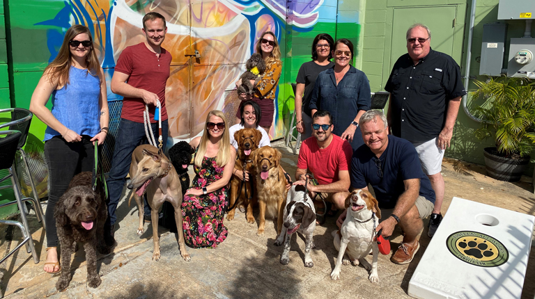 A group of co-workers at an outdoor brewery are dressed casually and posed with their dogs. 
