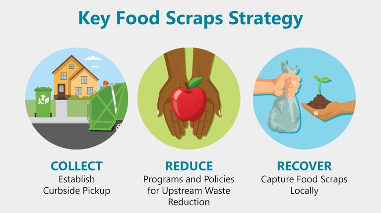 Graphic outlining food scraps strategy: Collect, Reduce and Recover.