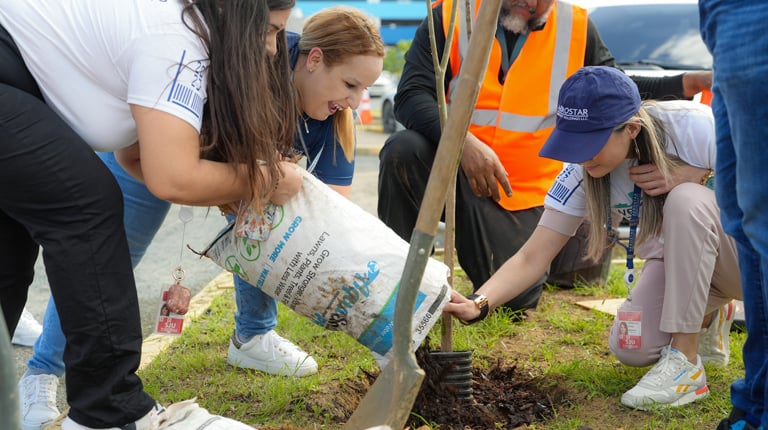 People planting a tree together.
