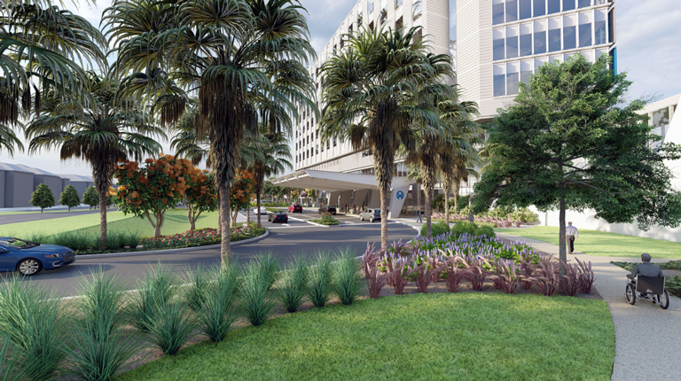 A color rendering of a modern hospital entrance lined by palm trees and tropical plantings